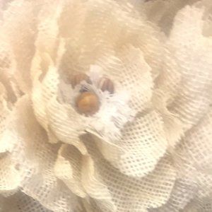 Meet your Posher, Mazie